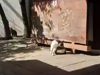 七宮神社(兵庫県)