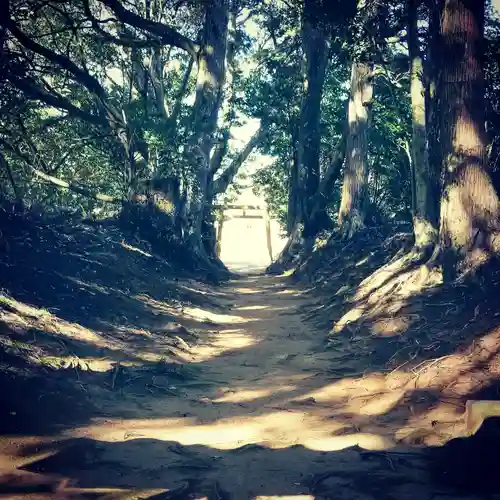 塩釜神社の自然