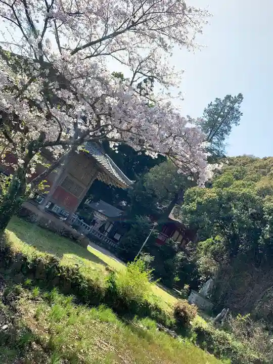 染羽天石勝神社(島根県)