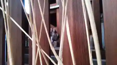 京都ゑびす神社(京都府)