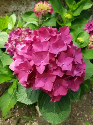 磐井神社(東京都)