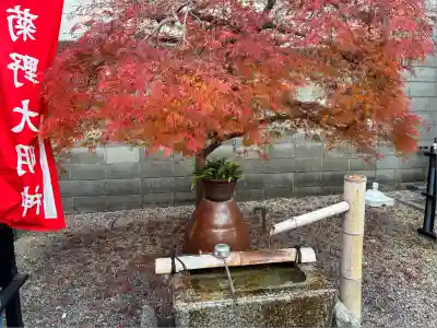 法雲寺(京都府)