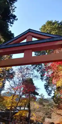 日吉大社の建物その他