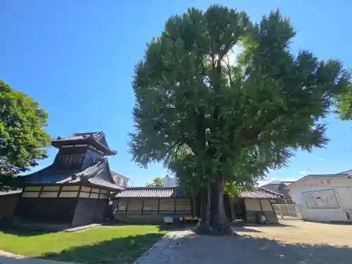 本願寺日高別院(和歌山県)