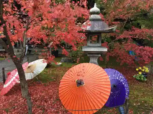 勝林寺の庭園