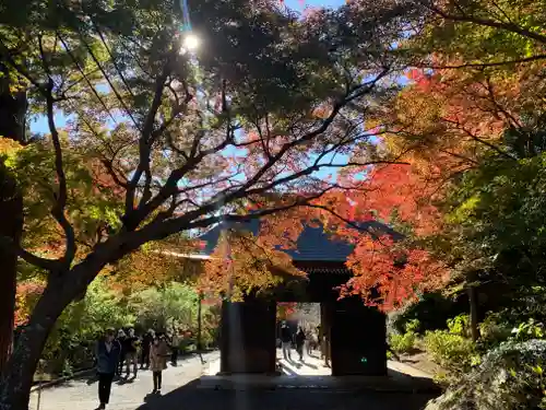普門寺(切り絵御朱印発祥の寺)の山門・神門