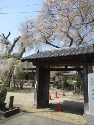 観音寺(茨城県)