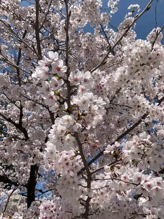 伊和志津神社の自然