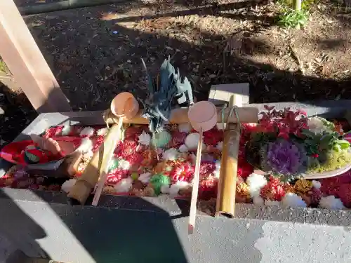 下野 星宮神社(栃木県)