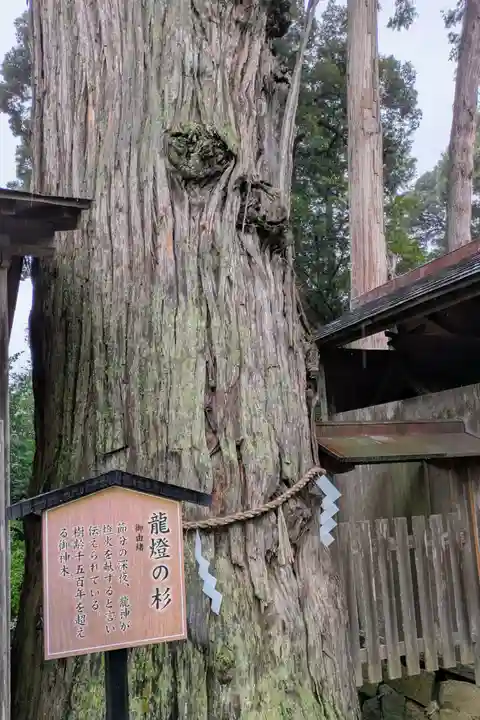 豊受大神社(京都府)