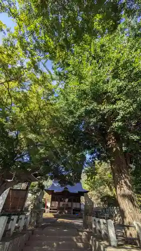 八幡社(神奈川県)