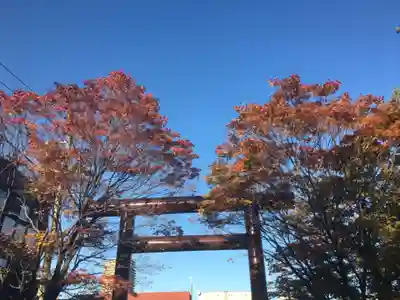 豊平神社の鳥居