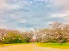 女化神社の自然