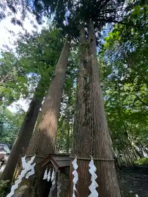 富士山東口本宮 冨士浅間神社(静岡県)