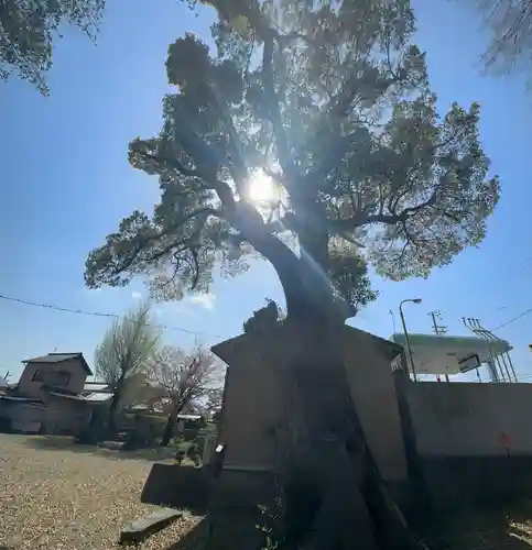 保津八幡宮社(京都府)