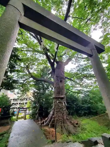 愛宕神社(福島県)