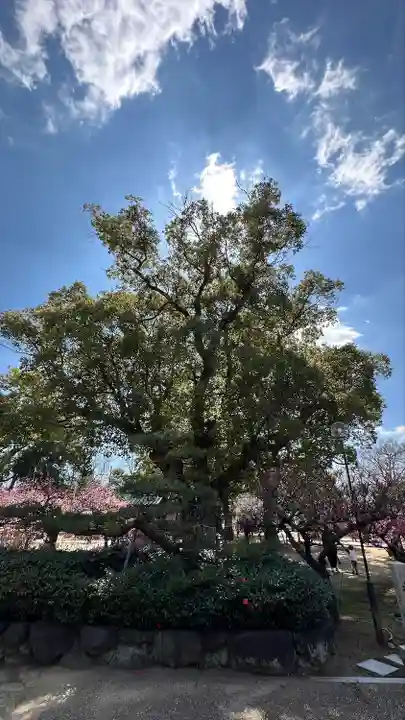 屯倉神社(大阪府)