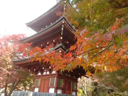岡寺（龍蓋寺）のその他建物