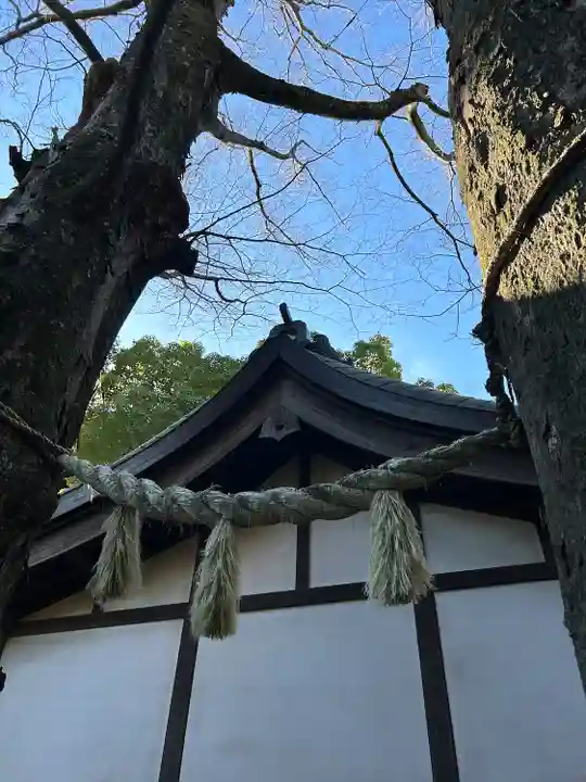川越氷川神社(埼玉県)