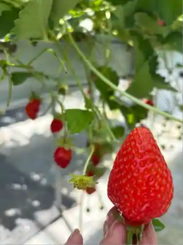 八幡神社(広島県)