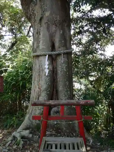 大鷲神社の自然