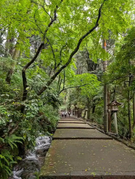白山比咩神社の{uncategorized: "未分類", other: "その他", undefined: "問題あり", building: "その他建物", grave: "お墓", sacred_gate: "鳥居", guardian: "狛犬", statue: "像", buddha: "仏像", history: "歴史", nature: "自然", garden: "庭園", animal: "動物", pagoda: "塔", temizu: "手水舎", mountain_gate: "山門・神門", sanctuary: "本殿・本堂", subordinate: "末社・摂社", art: "芸術", scenery: "景色", jizo: "地蔵", ema: "絵馬", goshuin: "御朱印", omikuji: "おみくじ", items: "授与品その他", amulet: "お守り", goshuincho: "御朱印帳", eats: "食事", festival: "お祭り", votive_dance: "神楽", shichigosan: "七五三参", wedding: "結婚式", experience: "体験その他", initially: "初詣", around: "周辺", anti_infection: "感染症対策"}