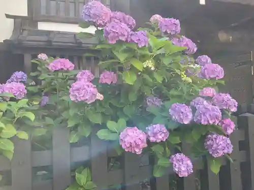 蓮光院(東京都)