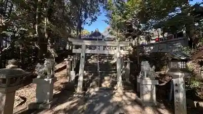 毛知比神社の鳥居