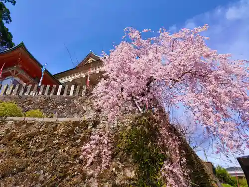 熊野那智大社(和歌山県)