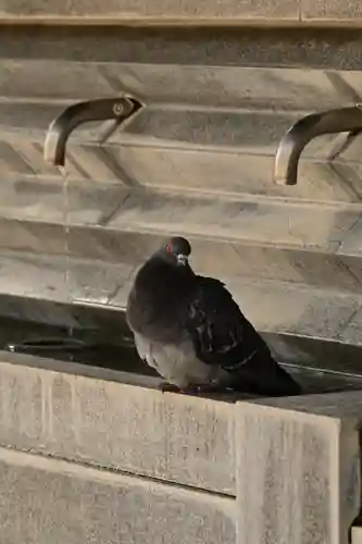 筥崎宮(福岡県)