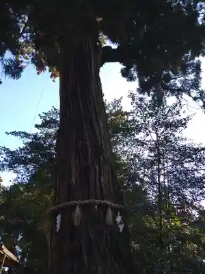 香取神宮(千葉県)