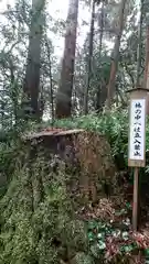 高千穂神社の自然