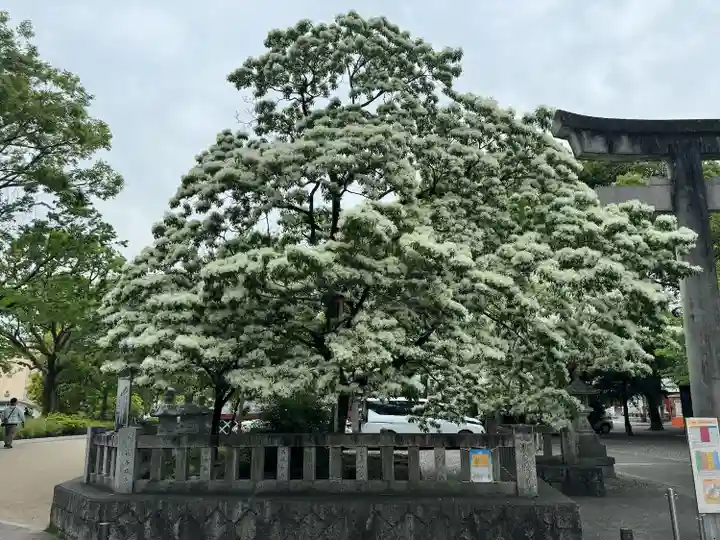 金神社(岐阜県)