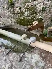 伊弉諾神社の手水