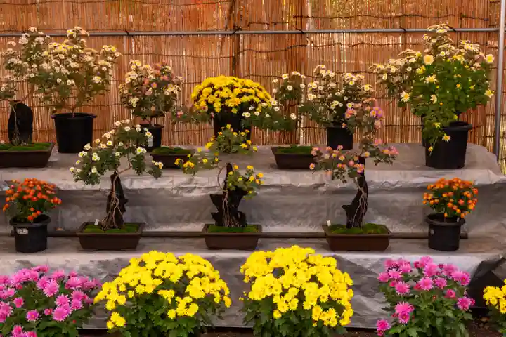 武水別神社(長野県)