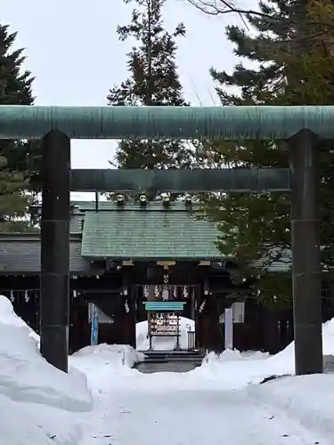 琴似神社の鳥居