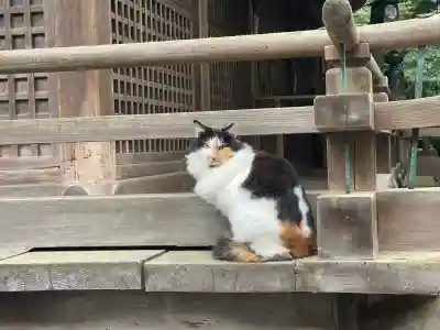 小坂神社(石川県)