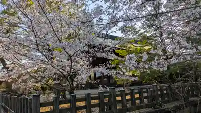 橿原神宮(奈良県)