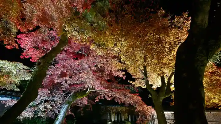 宝厳院(京都府)