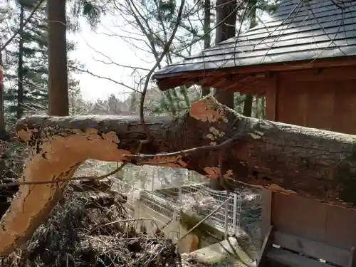 大峯不動尊の自然