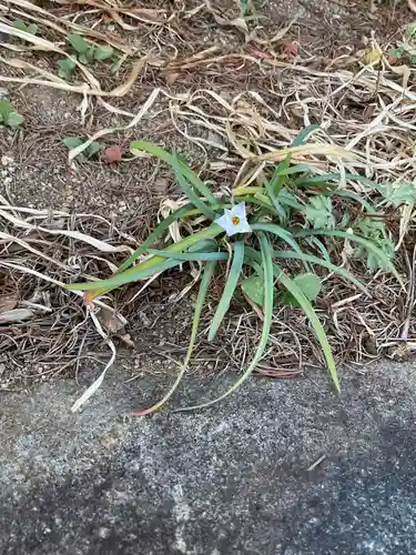 間々観音（龍音寺）(愛知県)