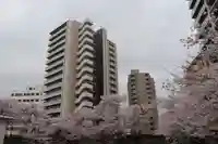 愛宕神社の周辺