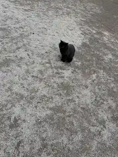 薦神社(大分県)