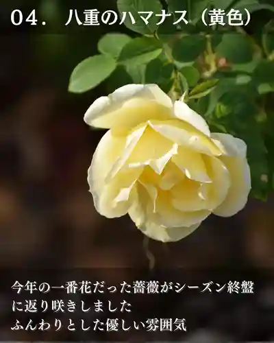 宝光寺(北海道)