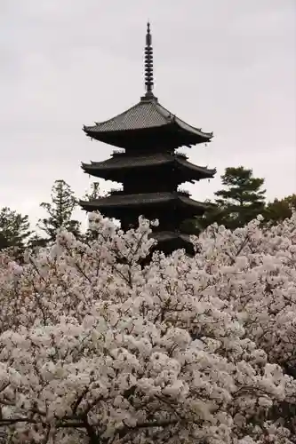 仁和寺の塔