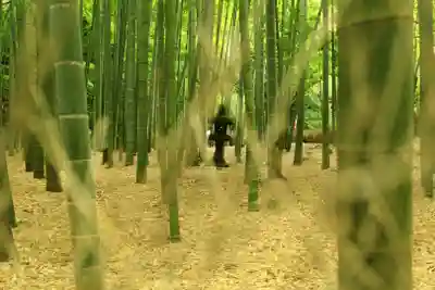 報国寺(神奈川県)