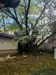 松月寺(石川県)