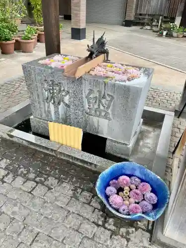 川越八幡宮の{uncategorized: "未分類", other: "その他", undefined: "問題あり", building: "その他建物", grave: "お墓", sacred_gate: "鳥居", guardian: "狛犬", statue: "像", buddha: "仏像", history: "歴史", nature: "自然", garden: "庭園", animal: "動物", pagoda: "塔", temizu: "手水舎", mountain_gate: "山門・神門", sanctuary: "本殿・本堂", subordinate: "末社・摂社", art: "芸術", scenery: "景色", jizo: "地蔵", ema: "絵馬", goshuin: "御朱印", omikuji: "おみくじ", items: "授与品その他", amulet: "お守り", goshuincho: "御朱印帳", eats: "食事", festival: "お祭り", votive_dance: "神楽", shichigosan: "七五三参", wedding: "結婚式", experience: "体験その他", initially: "初詣", around: "周辺", anti_infection: "感染症対策"}