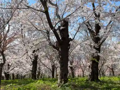 諏訪神社(北海道)