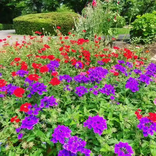 多治速比売神社の自然